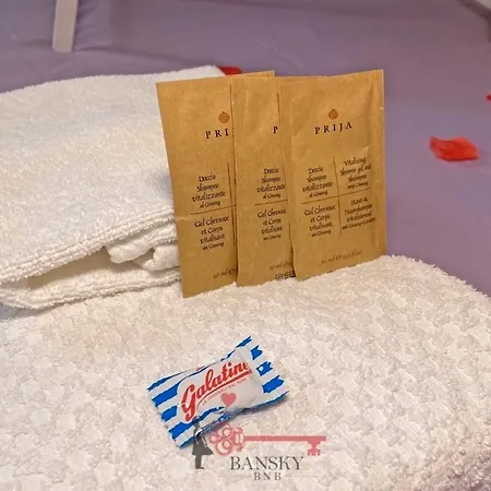 Апартаменти Violet 5 For 3 Guest -by Easylife Swiss Лугано