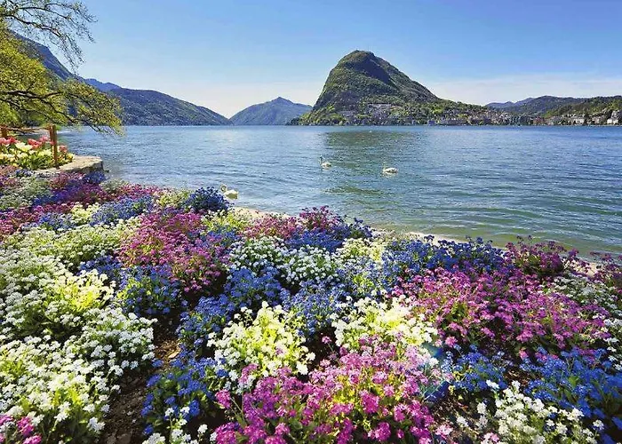 Violet 5 For 3 Guest -by Easylife Swiss * Lugano