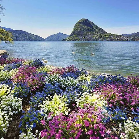 Violet 5 For 3 Guest -by Easylife Swiss * Лугано