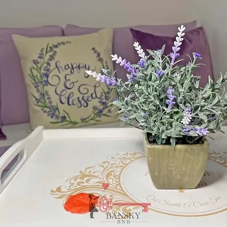Violet 5 For 3 Guest -by Easylife Swiss Apartmán Lugano